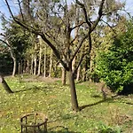 Apartman Apartma Z Razgledom *