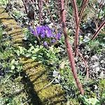 Apartma Z Razgledom Apartman *