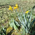 Apartman Apartma Z Razgledom Dob