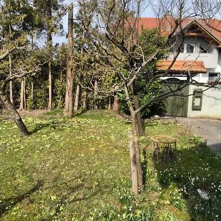 Apartma Z Razgledom شقة