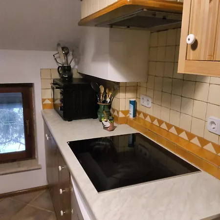 Διαμέρισμα Apartma Z Razgledom