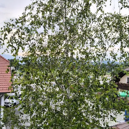 Apartma Z Razgledom Διαμέρισμα *